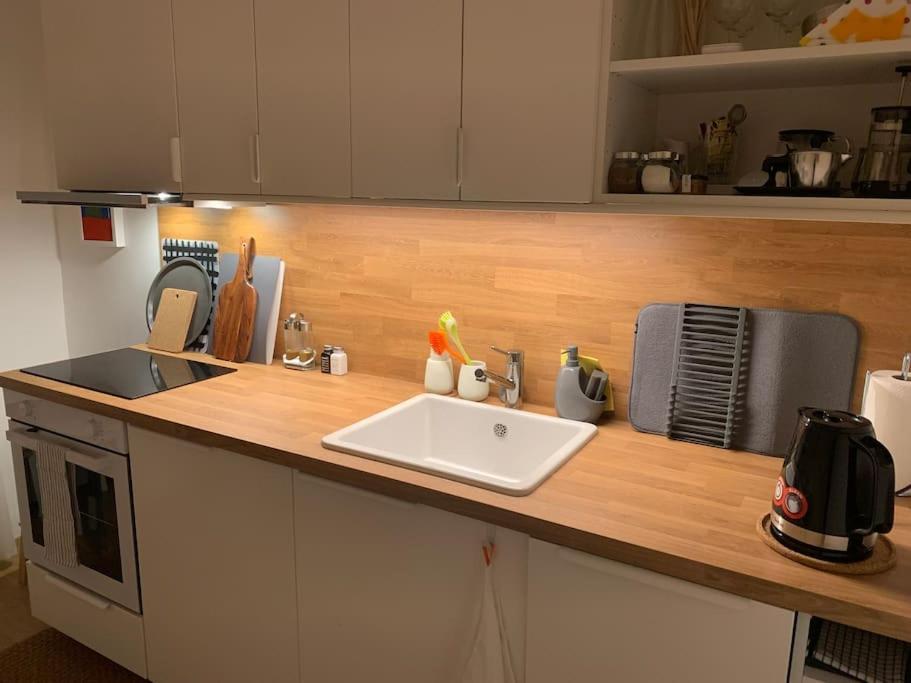 Apartment Near The Home Of Croatian Artists Zagreb Buitenkant foto